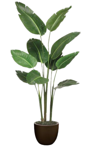 floorplant